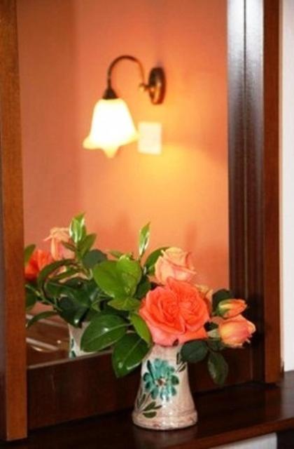 Triantafyllou Maria Rooms Skópelos Rom bilde